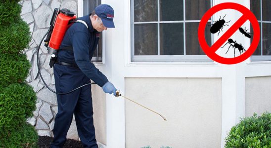 Aralık Karınca İlaçlama böcek ilaçlama ve haşere kontrolü — ilaclama-tr.com